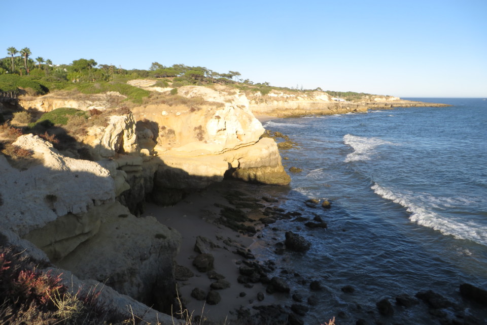 IMG_3847.JPG IMG_3847.JPG