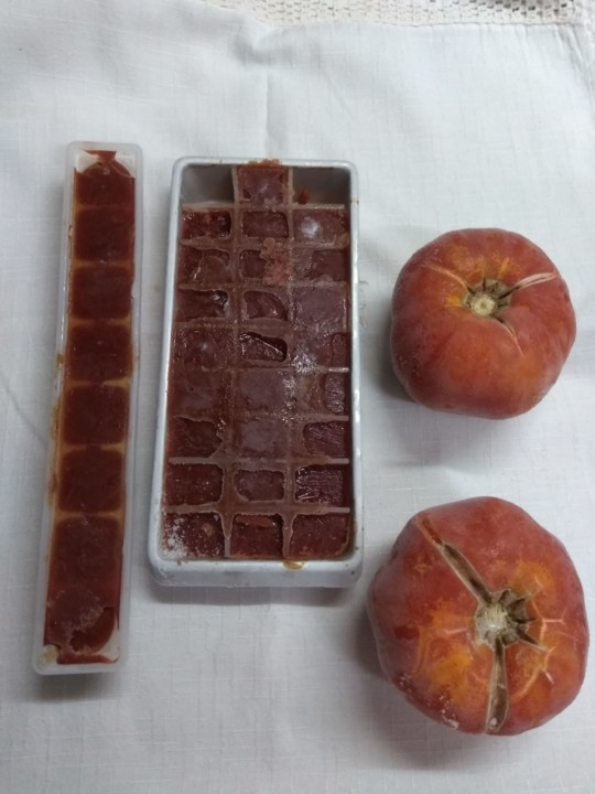 IMG_20200131_010127.jpg IMG_20200131_010127.jpg