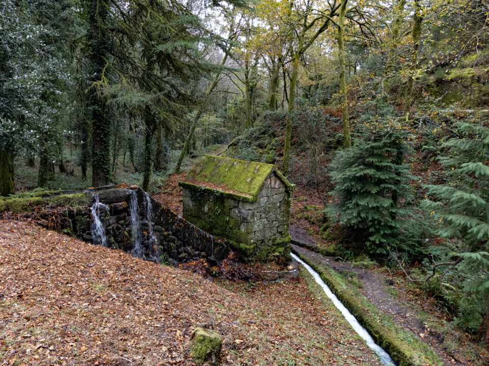 Carla trilho levada da Víbora nov 2024 06.jpg