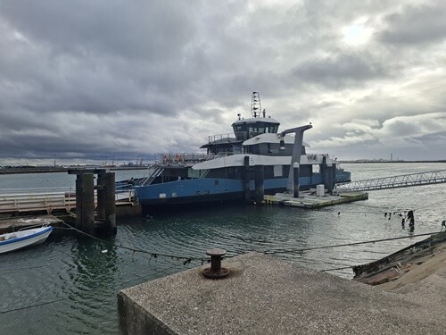 11b_São_Jacinto (18).jpg