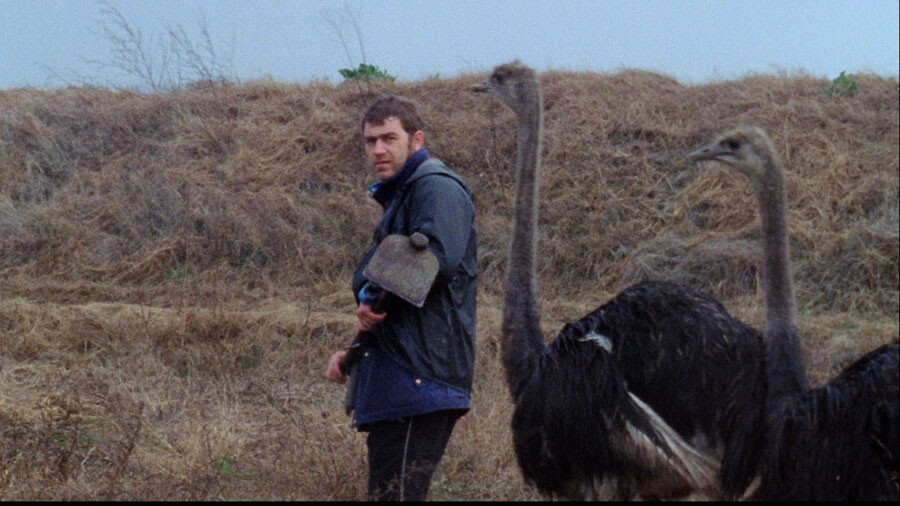 OIgRALyHIBjPH2mK2jiPhSYkd5a9txuUpMg3bPBq@original.