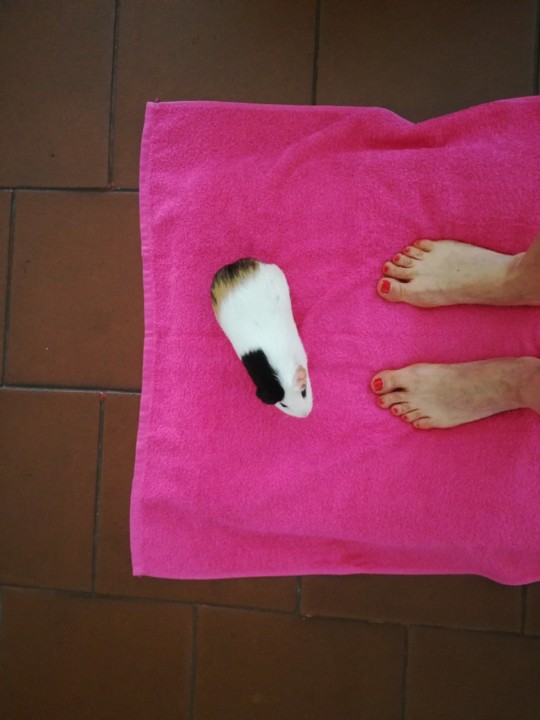 IMG_20190615_183957.jpg IMG_20190615_183957.jpg