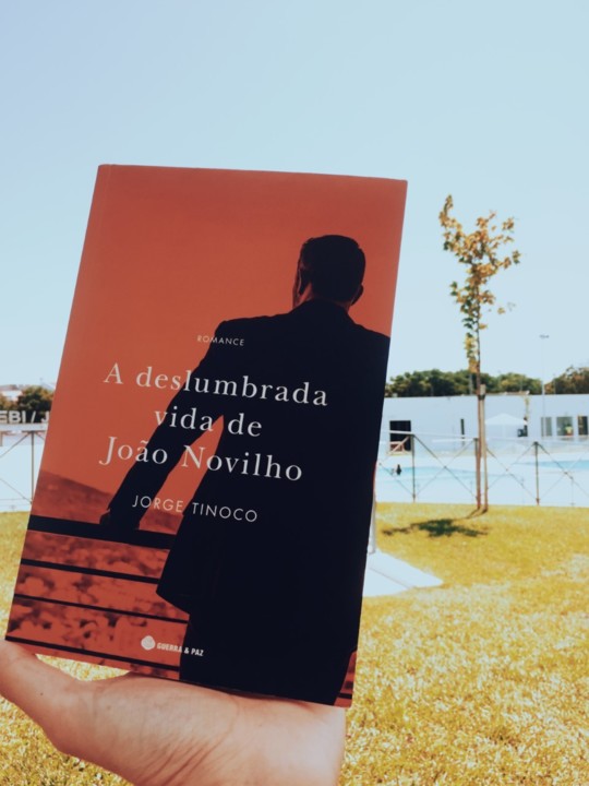 a deslumbrada vida de joão novilho.jpg