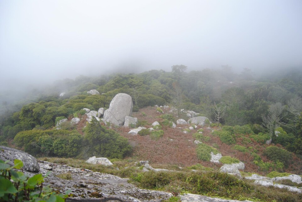 241842766_329814635638778_8063582020310765028_n.jp