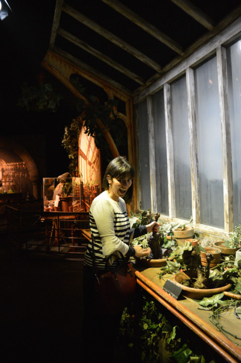 ExpHarryPotter_Mar2020-29.jpg ExpHarryPotter_Mar2020-29.jpg