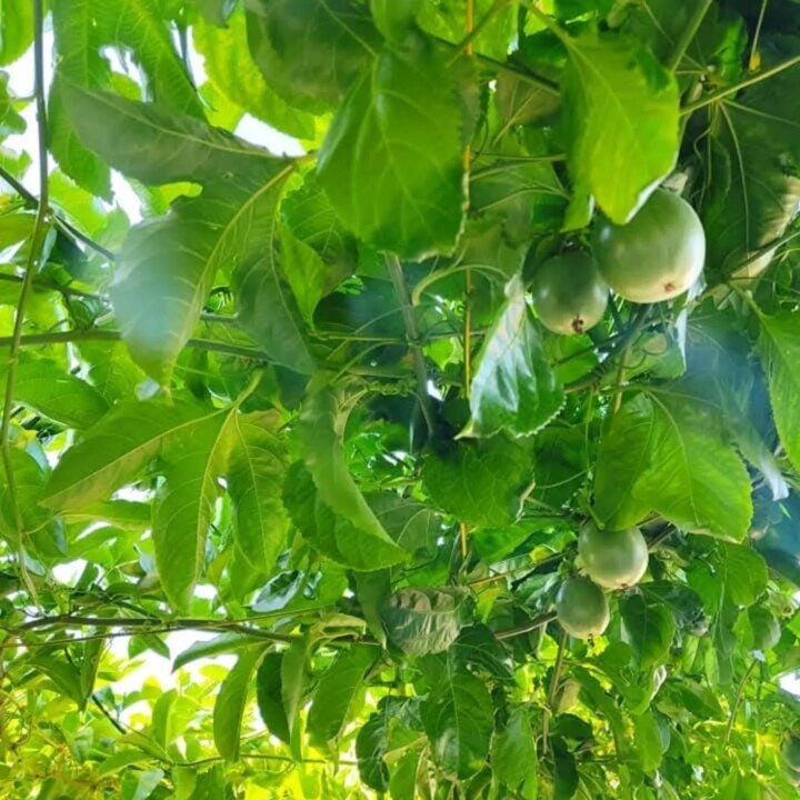 569724703_18506943661066958_2644080545872439069_n.