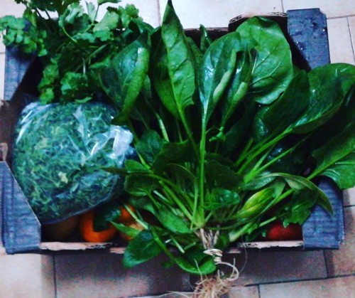 48087984_1264298260376599_3816685566188060672_n.jp