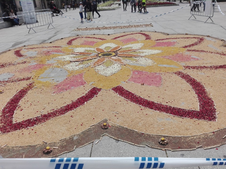 IMG_20190422_123609.jpg IMG_20190422_123609.jpg