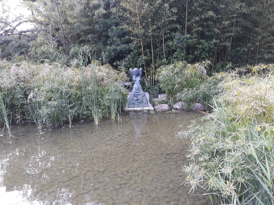 20200506_192525.jpg 20200506_192525.jpg