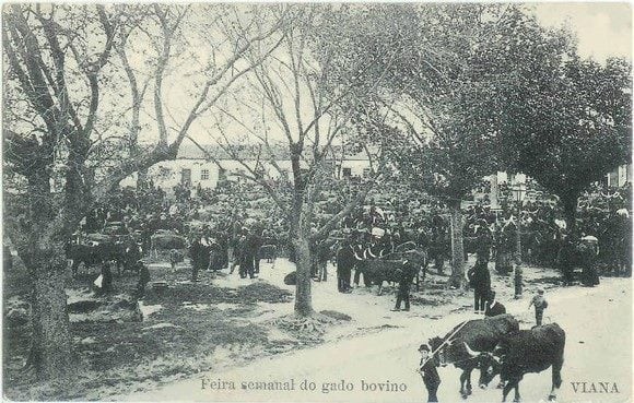 196- feira semanal do gado.jpg