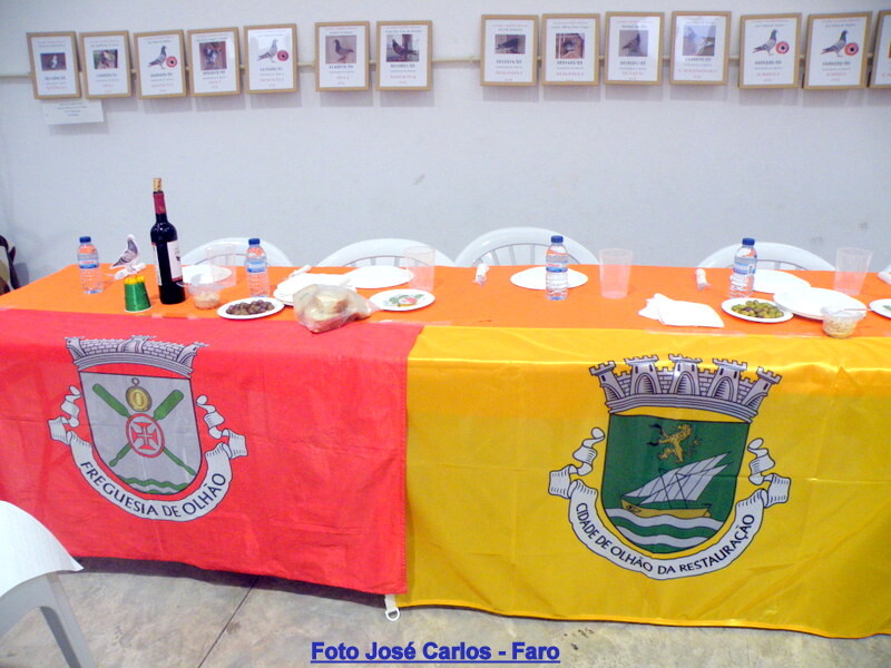 DSCF5039 - Cópia.JPG