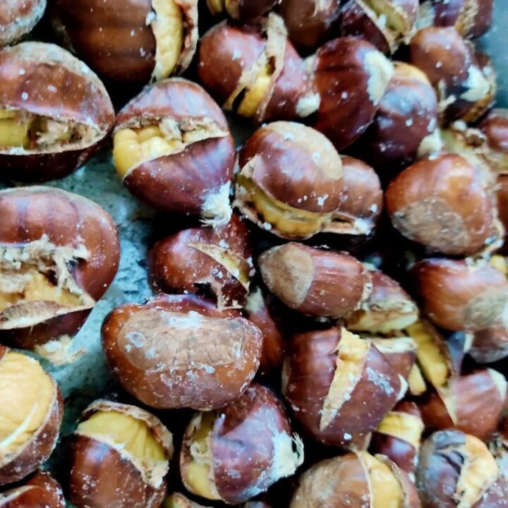 572651527_18509005702066958_627172145805019764_n.j