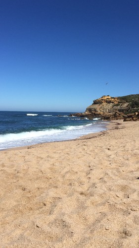 IMG_5628.JPG IMG_5628.JPG