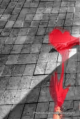 533757_437565422957509_431524054_n_ (2)_ (3)_tonem