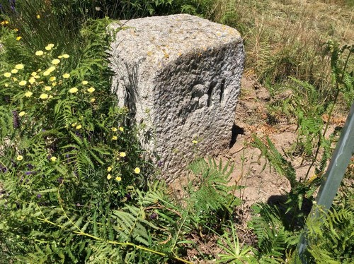 marco 211a.jpg marco 211a.jpg