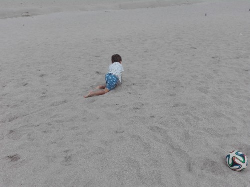 IMG_20180725_173328.jpg IMG_20180725_173328.jpg