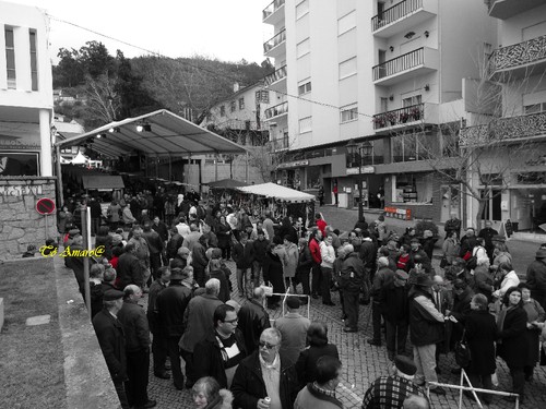 Feira do Queijo Em Seia !!! 231.jpg