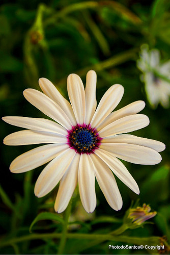 IMG_6164_ (2)_ (3)_fused.jpg