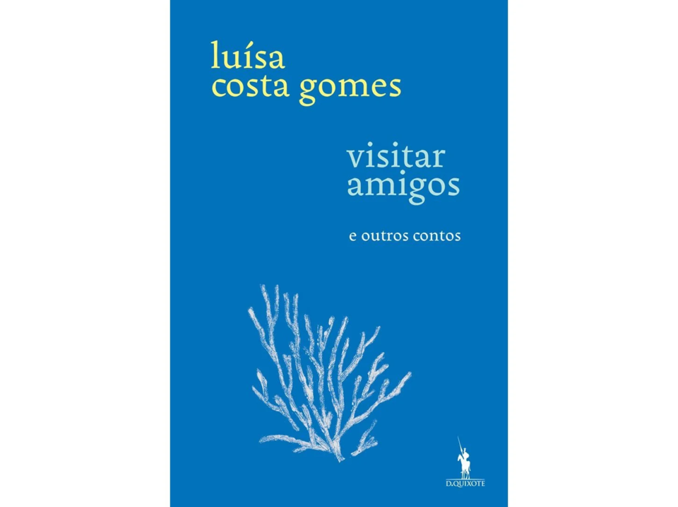 visitar-amigos livro
