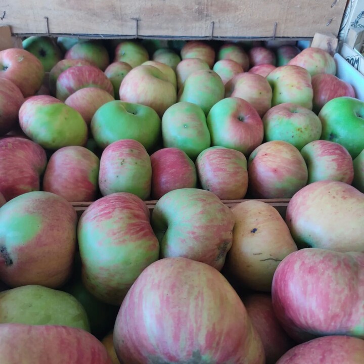 360088502_656530206504393_4228041258788426305_n.jp