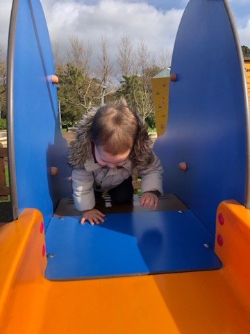 IMG_0394.jpg IMG_0394.jpg