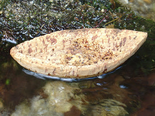 Barquinho de cortiça.JPG