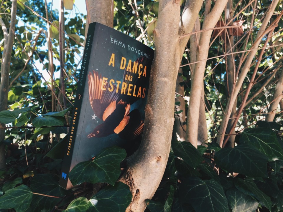 a dança das estrelas.jpg a dança das estrelas.jpg