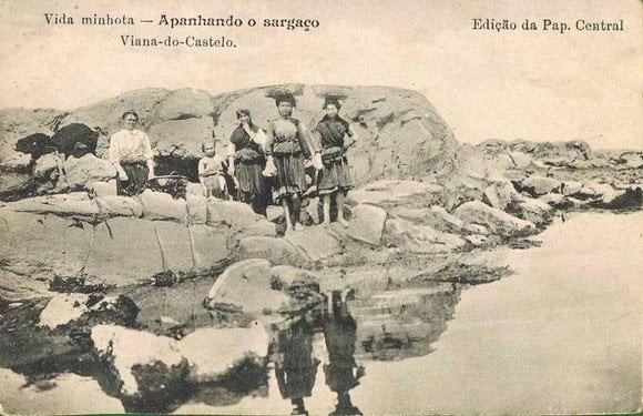 191- apanhando sargaço.jpg