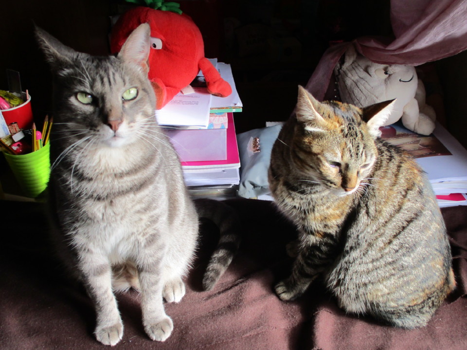 IMG_8417.JPG IMG_8417.JPG