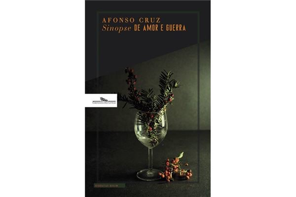 sinopse de amor e guerra capa.jpg