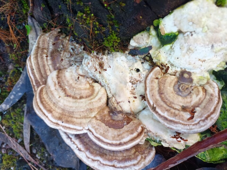 Não me canso disto inverno 2.jpg