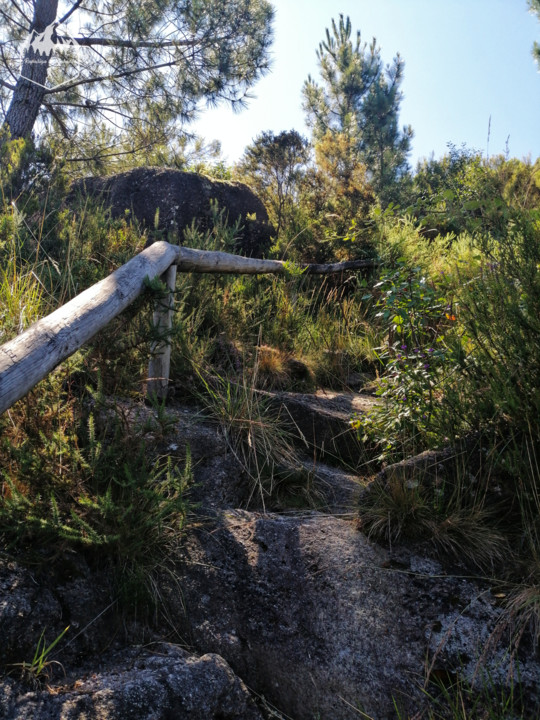 Photo_1598340836943.jpg Photo_1598340836943.jpg