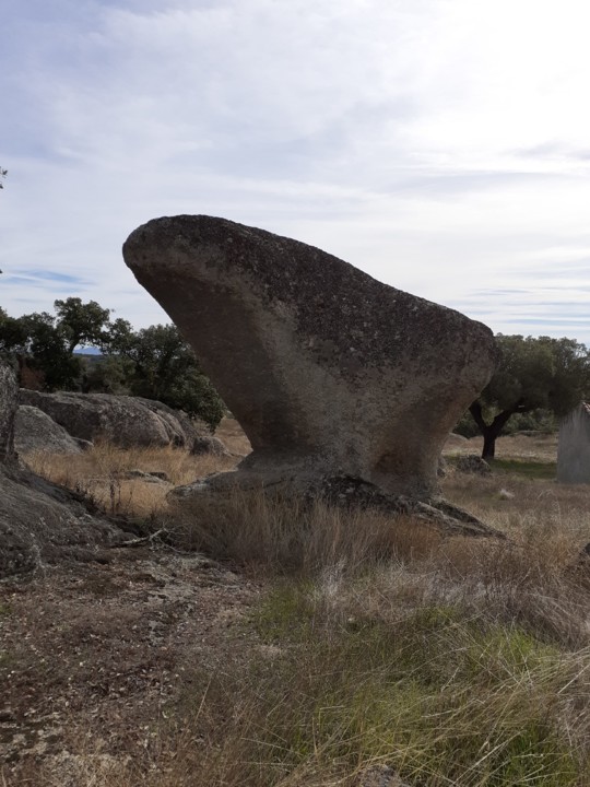 Rocha cogumelo II. Foto Original. 2021.10.09.jpg