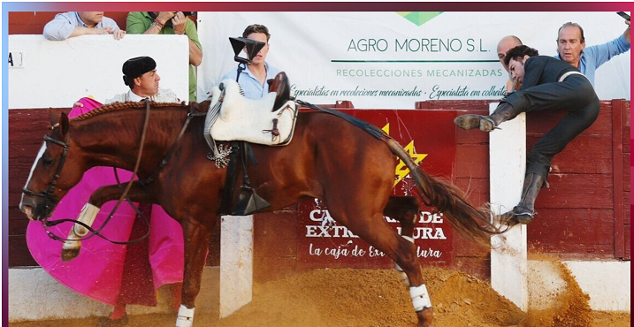 CAVALO ABATIDO 2.png