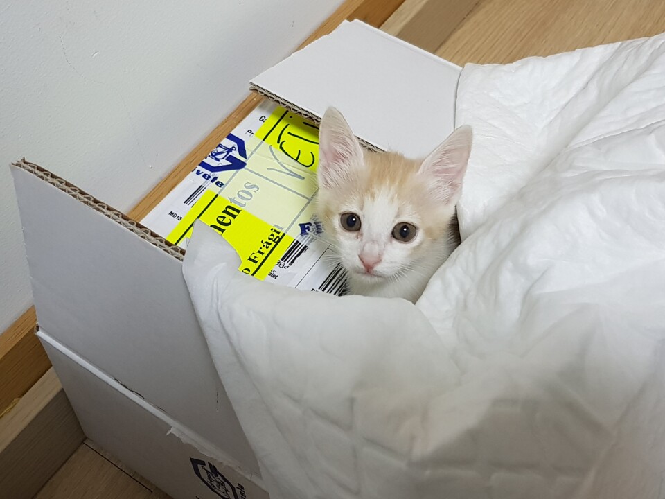 3 -20170727_215330.jpg