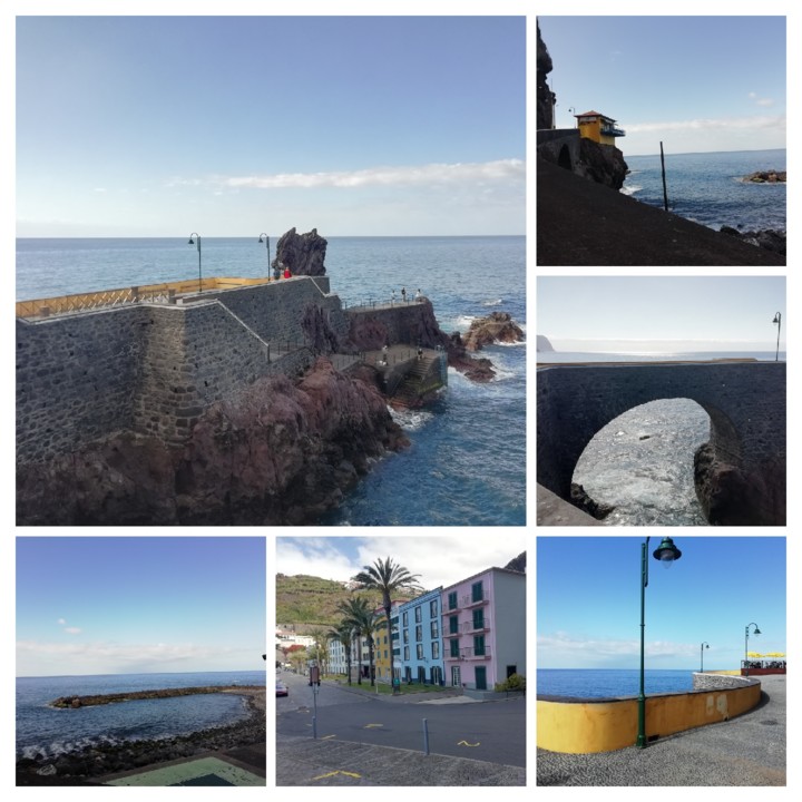 IMG_20210321_104314-COLLAGE.jpg IMG_20210321_104314-COLLAGE.jpg