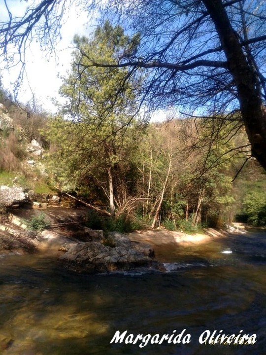 131308008_886316872197925_4852850063360318554_n.jp