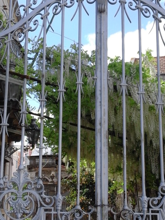 SFUAP. Foto Original. 2018. 05. jpg