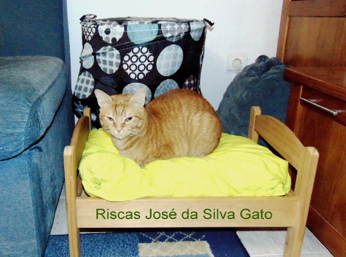 riscasjosegato.JPG