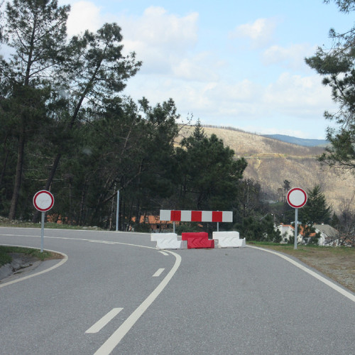 IMG_0813.JPG IMG_0813.JPG