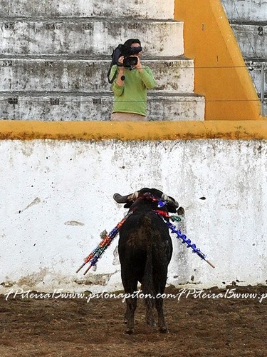 Sol e Toiros 2015.jpg