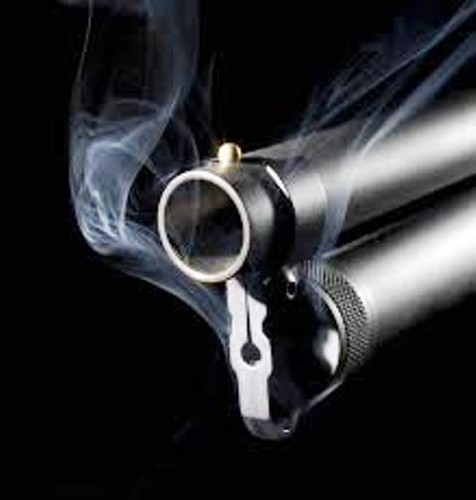 pistola fumegante.jpg