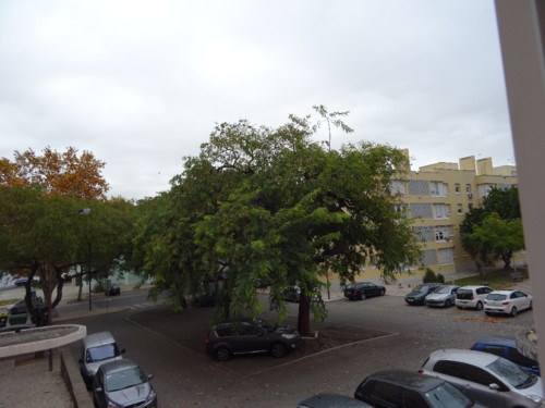 DSC01118 (1).JPG