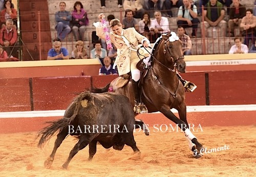 BARREIRA DE SOMBRA09-24-DSC_5295.JPG