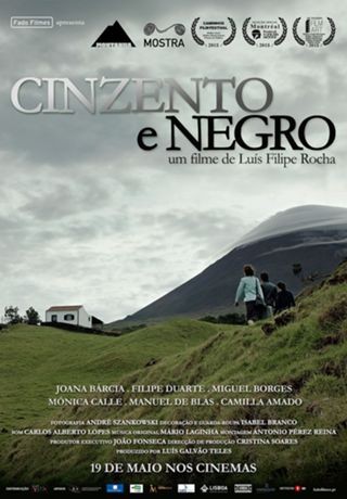 cinzento e negro 2.jpg