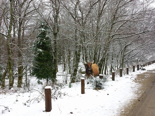 12079120_1001999089870680_8911990595974852992_n.jp