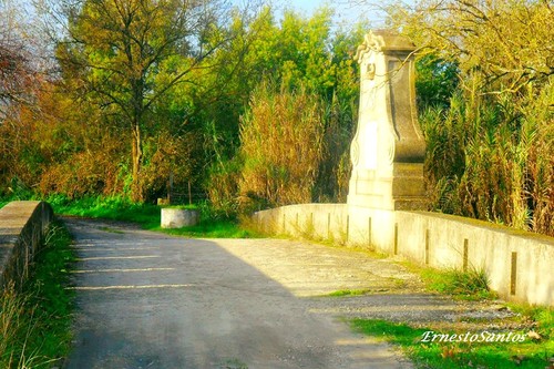 12974252_669606939844866_5698510538247043676_n.jpg 12974252_669606939844866_5698510538247043676_n.jpg