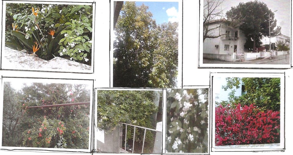 foto Margarida 2.jpg