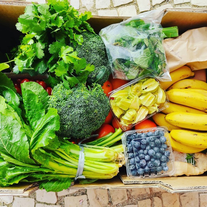 141197067_1934230550050030_3711844399855143599_o.j