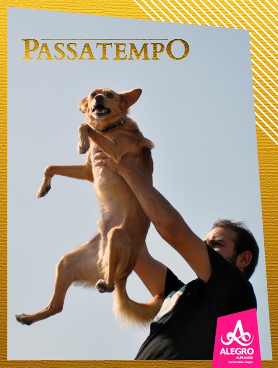 66981002_2576491435697327_8564829215369723904_n.jp